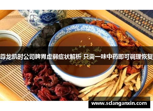 尊龙凯时公司脾胃虚弱症状解析 只需一味中药即可调理恢复